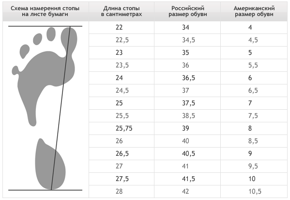 Как измерить член фото